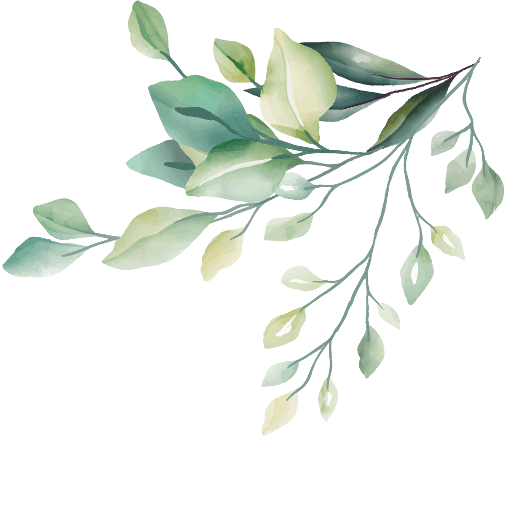 leaves in the corner