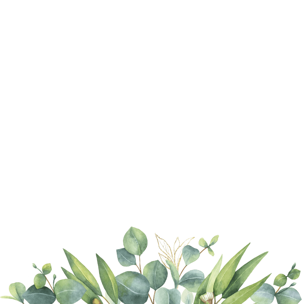 Leaves on the bottom overlay
