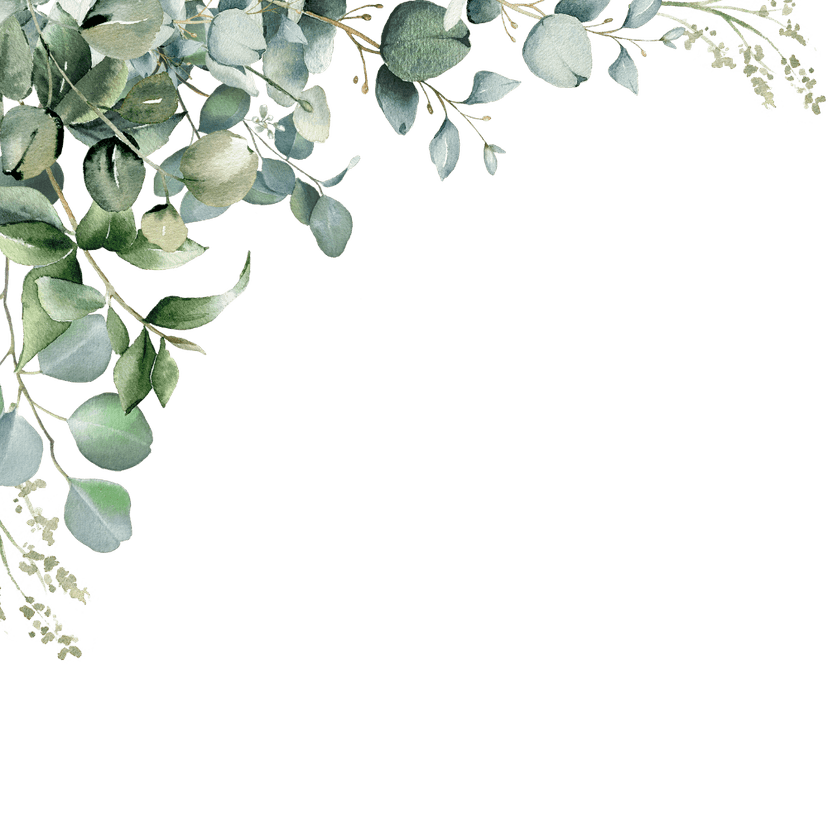 leaves in the left corner overlay